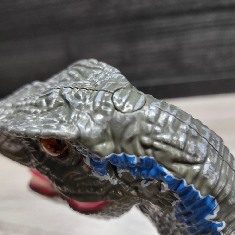 Remote Controlled Raptor No Remote! Tested! - Picture 14 of 16